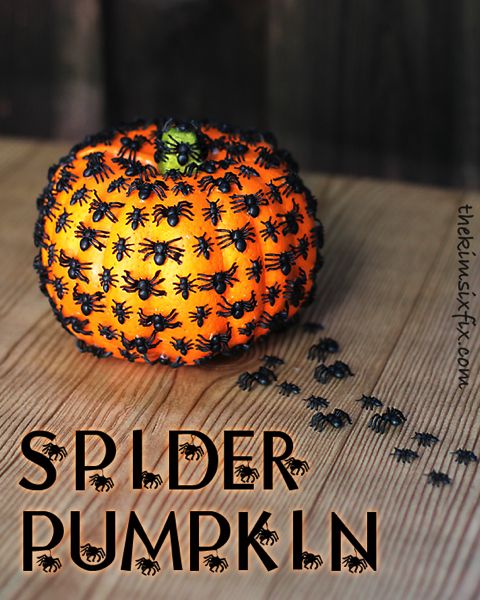 spider-pumpkin